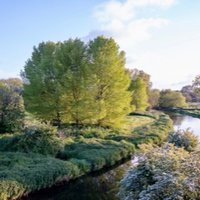 Save Wincheap Water Meadows (@meadowssave) 's Twitter Profile Photo