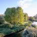 Save Wincheap Water Meadows (@meadowssave) Twitter profile photo Save Wincheap Water Meadows (@meadowssave) Twitter profile photo