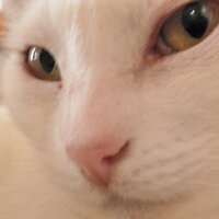 Roberto Arias (@robertoariasr) 's Twitter Profile Photo Roberto Arias (@robertoariasr) 's Twitter Profile Photo