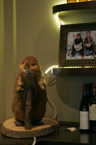 QBPub_Jamieson's profile picture. Proprietor: Queen and Beaver Public House & Soccer Fan