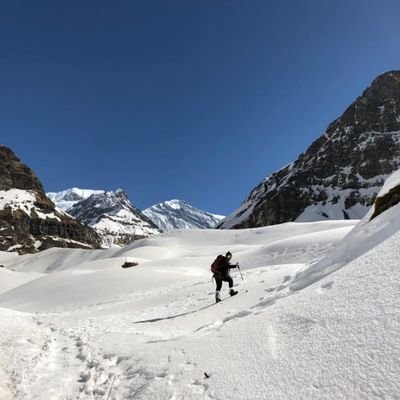 NanSiri52578027's profile picture. PhD Candidate - University of Cambridge