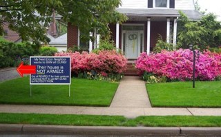 raoulvbo's profile picture. 