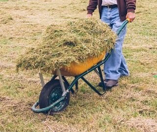 Lucas_0119's profile picture. 