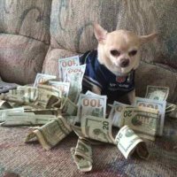 Payday & Co. (@yangwhilz) 's Twitter Profile