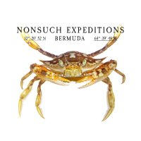 Nonsuch Expeditions(@Nonsuch_Bermuda) 's Twitter Profile Photo