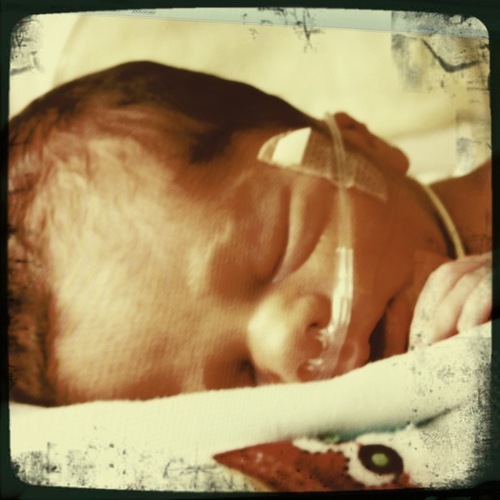 Devoted to bringing awareness, resources, and celebration in the moments of prematurity through healing.
