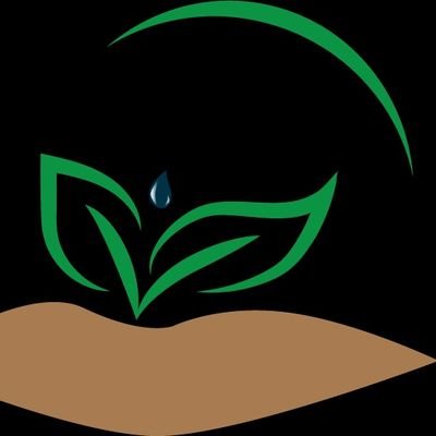 mlaano's profile picture. 