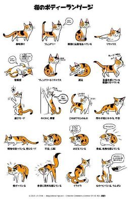 レヴィアさんのプロフィール画像