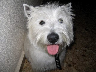 stereoken's profile picture. 