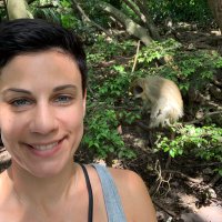 Nicole Werner(@wernerbiology) 's Twitter Profile Photo