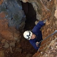 Dr Diana Fusco (megalibgwilia)(ecoevo)(.)(social) (@hvymetalpalaeo) 's Twitter Profile