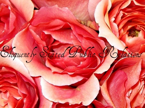 Providing determined clients with a platform to make their future visions successful!
@EloquentlyStatedPR@gmail.com