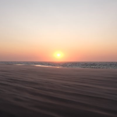 shoogerhuis's profile picture. 