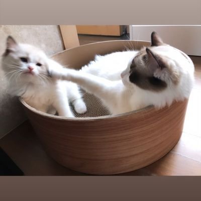 IntssPim's profile picture. name:nattinan intasawasd
Instagram:pim_intss