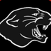 Official Home of LNHS Live-Streaming (@LnPanthers_live) Twitter profile photo