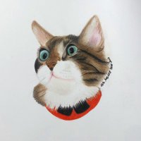 정어리/랠라리 (@layla_hj) 's Twitter Profile Photo