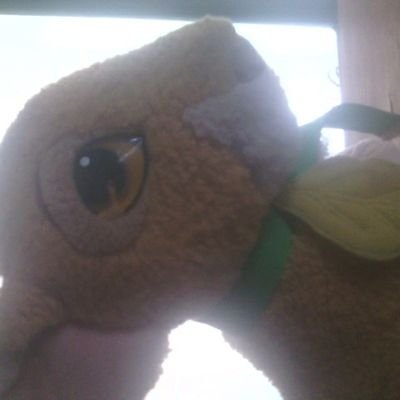 faridimagoma2's profile picture. agronomist