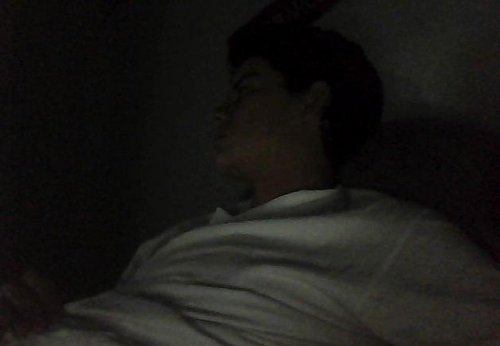 siegvaltor's profile picture. 