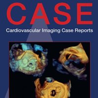 CV Case Journal (@casefromase) 's Twitter Profile