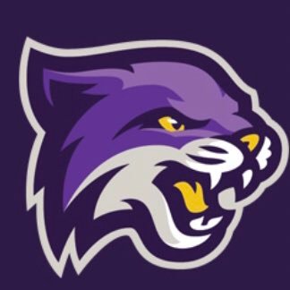 Official Twitter page of Bethel University Wildcats Baseball. Member of the NAIA Mid South Conference. #purplereign