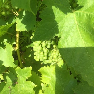 Cglen15's profile picture. Out and about sunshine or cloud