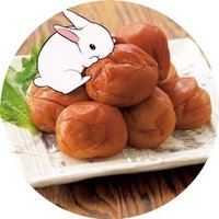 うめこ(ありのままのすがた) (@umeko_ume_umeko) 's Twitter Profile