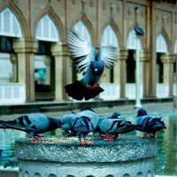 I Believe (@ainamo94) 's Twitter Profile Photo