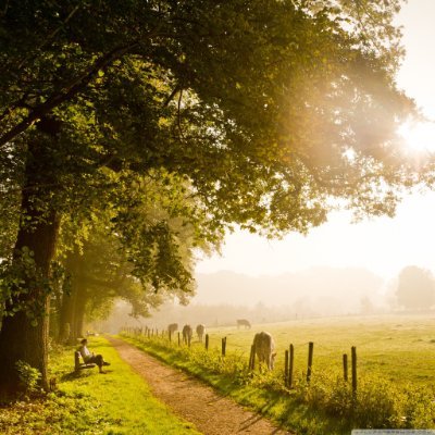 LIUYU19383754's profile picture. 