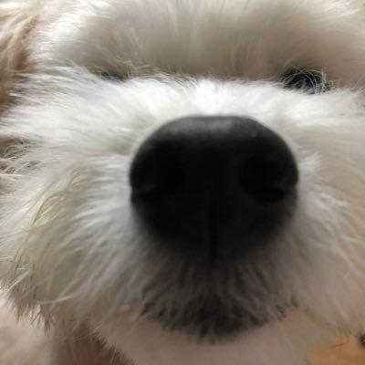 Tera_1415's profile picture. アニメの脚本.演出やってます 皆様どうぞ宜しく