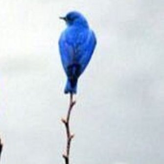 HKvolonte's profile picture. 