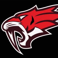 CFM Sabers Hockey (@cfmhockey) 's Twitter Profile