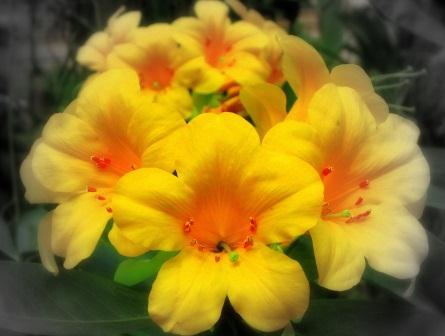 Danatopia's profile picture. Danatopia is your resource for insightful commentary, articles and other resources devoted to conscious living.