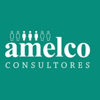 Amelco Consultores Profile
