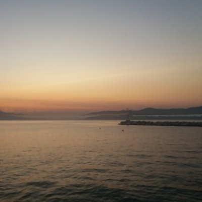 MarionMitsatsou's profile picture. 