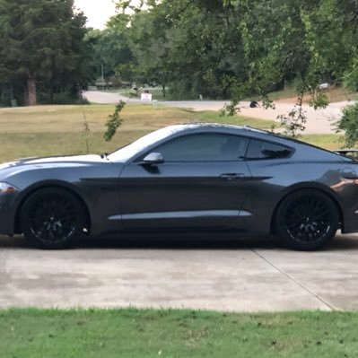 2019 Mustang GT PP1