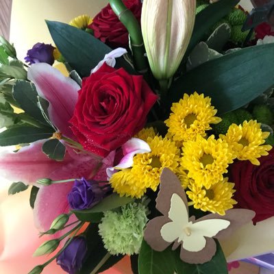 Irenesalford's profile picture. i worked in the NHS for 45 years as a Treasury Accountant. I am now retired enjoying my twilight years.