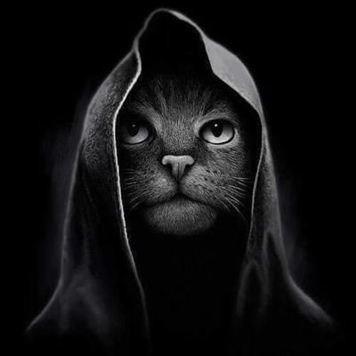 Si_Pida's profile picture. 