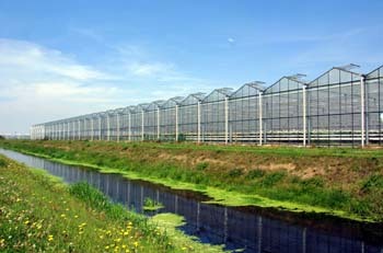 tuinbouwnieuws's profile picture. Al het tuinbouwnieuws in één nieuwsoverzicht