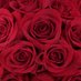 Lou’s Rosie Red Boutique (@lousrosieredbo1) Twitter profile photo Lou’s Rosie Red Boutique (@lousrosieredbo1) Twitter profile photo