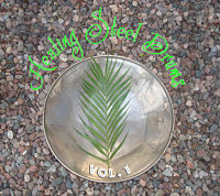 This site is to tell the world about my new recording, Healing Steel drums Volume One.
I have created an CD that will both relax and rejuvinate you!