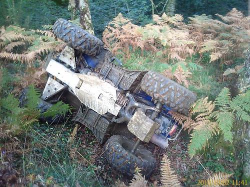 lobito450's profile picture. 