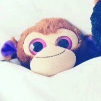 Fluff or Monkey (@fluffymonkey1) 's Twitter Profile
