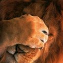 marisela leon - @leonmmary - Twitter