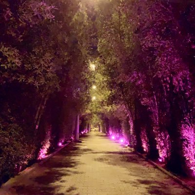 7lm_232's profile picture. اللهم بشرني بالخيركما بشرت يعقوب بيوسف وبشرني بالفرح كما بشرت زكريا بيحيى