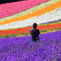 福田祐司 写真家 (@fukuyu0606) 's Twitter Profile