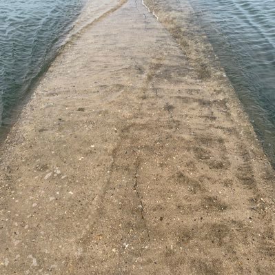 simon_feary's profile picture. 