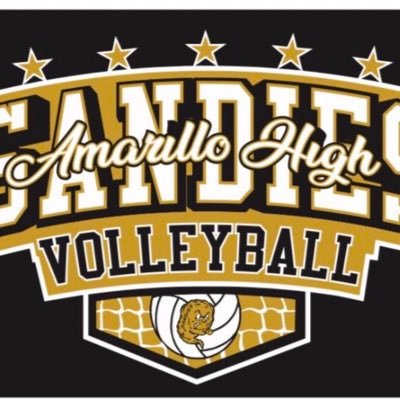 AHS Volleyball Profile