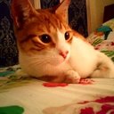 Tamara Valencia - @TamaraV26000581 - Twitter