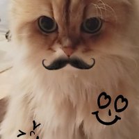 渡辺明乃 (@chibirarijyotei) 's Twitter Profile Photo 渡辺明乃 (@chibirarijyotei) 's Twitter Profile Photo