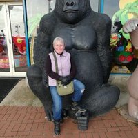 Diane Haynes (@dianefurminger) 's Twitter Profile Photo Diane Haynes (@dianefurminger) 's Twitter Profile Photo